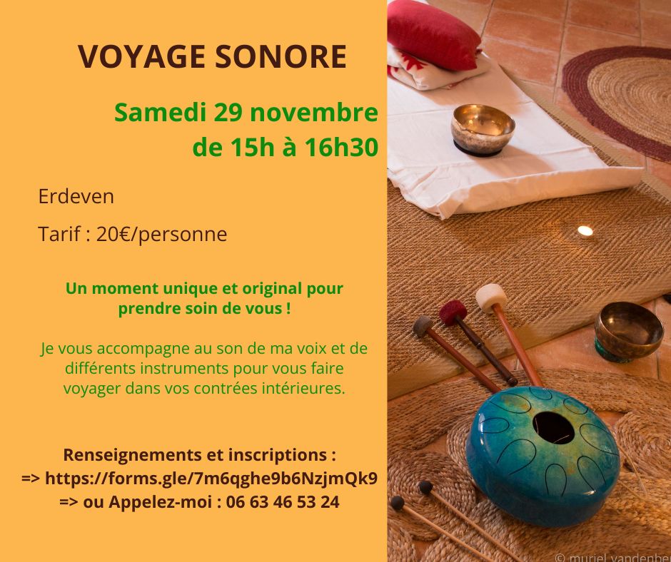 Voyage sonore - 29/11